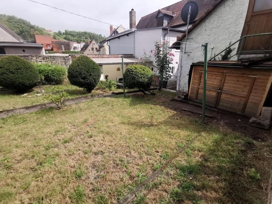 Ferienhaus Mit Garten Und Terrasse, Zentral Und Ruhig Apartment Freyburg Exterior photo